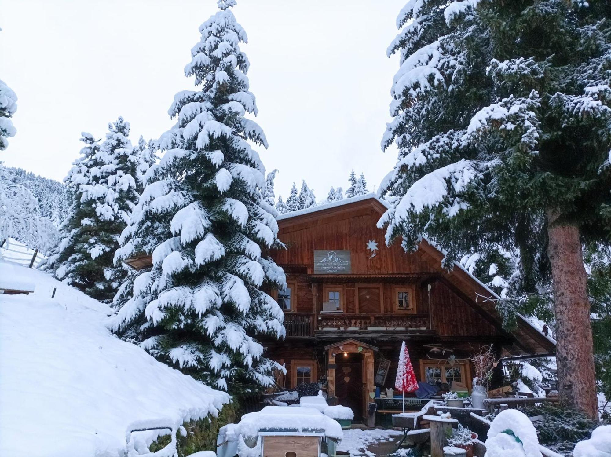 B&B,Bergheimat Oase Irschen エクステリア 写真